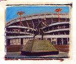 Home Plate Gate
