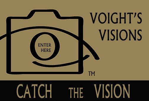 Voight's Visions